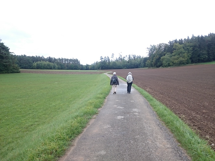 Langweilig-gemütlich geht es jetzt nach Sulzbach-Rosenberg zum Bahnhof.