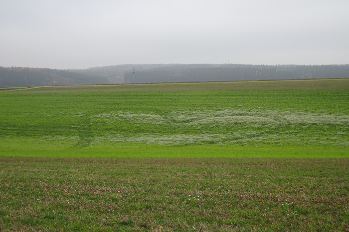 Alle elf Monate verliebt sich ein Trekkerfahrer auf seinem Feld.