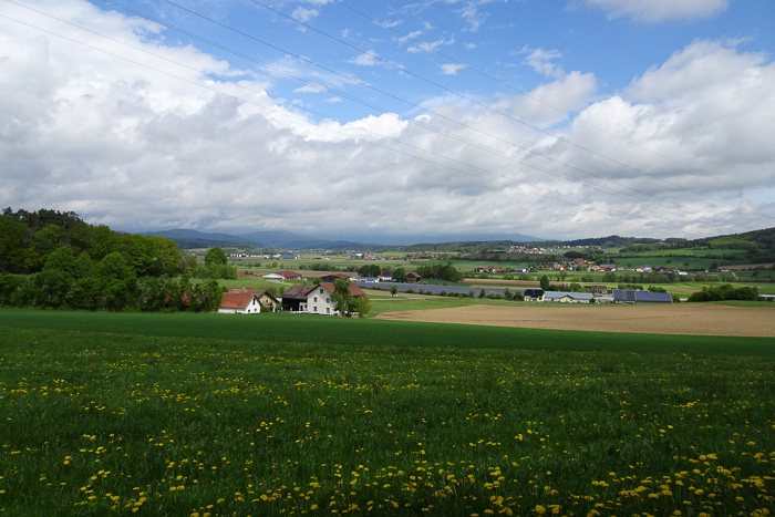 Blick in die herrliche Oberpfalz.