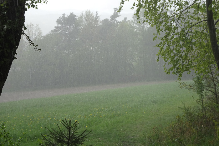 Endlich ist das schelchte Wetter da, mit dem uns alle gedroht hatten.