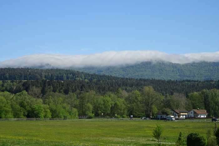Über dem Hohenbogen hängen noch tieffinstere Regenwolken von letzter Woche. Ein gutes Zeichen für uns, für den Kaitersberg?