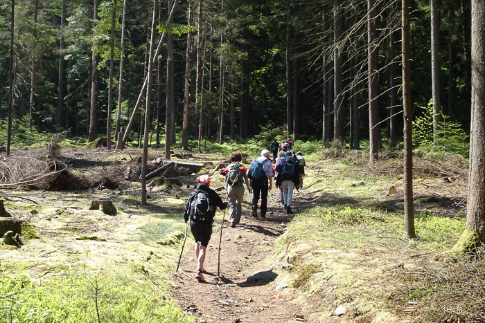 680 Höhenmeter liegen vor uns und wir sind angenehm einsam. Kein Mensch setzt bei so gefährlich harmlosem Wetter einen Fuß vor die Tür.