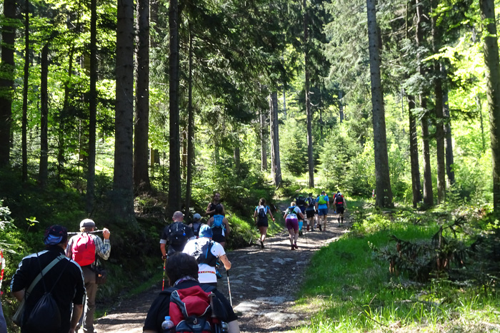 Plötzlich treffen wir auf die Läufer des KaitersbergTrails. Dank unserer Fitness überholen wir sie locker ohne sie zu belästigen.