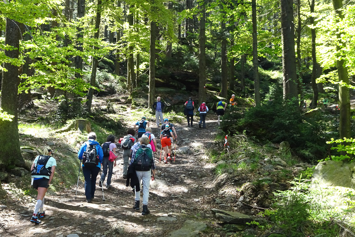 Es hilft nichts. Fast am Gipfel überholen wir noch die vordersten Läufer des Kb-Trails.