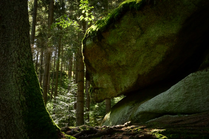 Wer weiß, was die Waldnaabhexe mit uns machen würde?