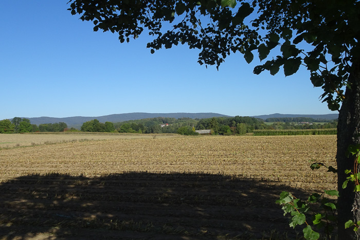 Am Horizont sehen wir den Steinwald.  Auch er ist in Privatbesitz irgendeines Grafen oder Barons.
