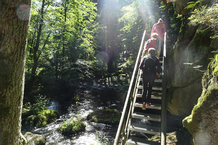 Wir durchwandern eine traumhafte Mischung aus 