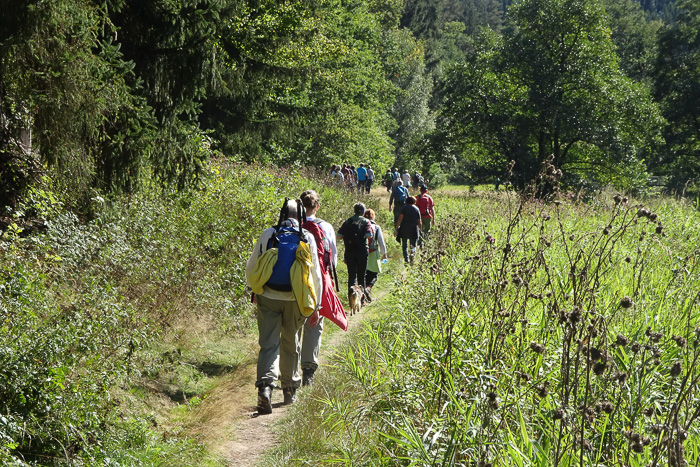 Und wir teilen den Wanderweg friedlich mit einer leicht lärmenden Gruppe von Wanderfranken.