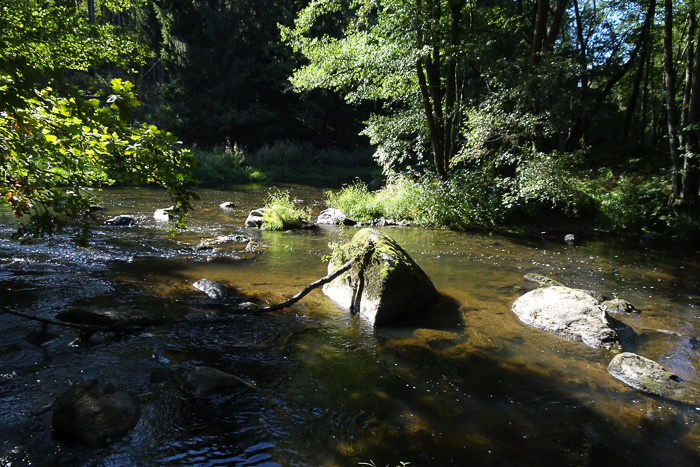 Auch an der Stelle, wo de Fichtelnaab in die Waldnaab mündet. Weiter flussabwärts kommen dann noch die Haidenaab dazu.