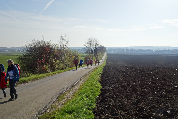 Wir möchten diesem Wagnis aus dem Weg gehen und wählen Plan B. Über den Hügel. Heute ist der Tag des Plans B. Oder Plan B's? Oder Plan's B? Oder Plan Bs'?
