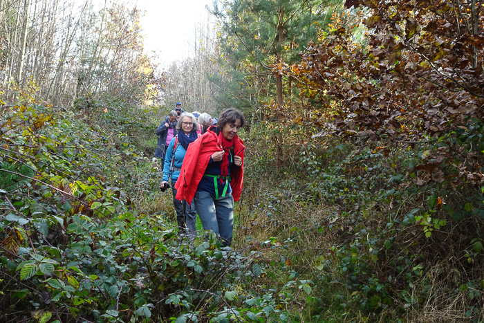 Das Gestrüpp war vor zwei Jahren noch nicht so biestig. Dafür sind die Wanderinnen umso charmanter. (Ich muss wieder etwas Boden gut machen ...)