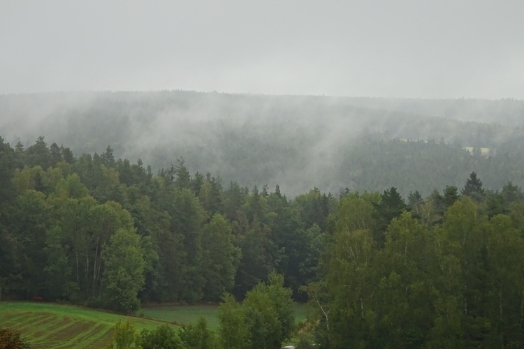 Blick in den 