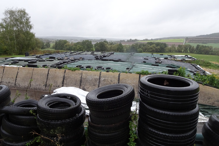 Erkenntnis des Tages: Silage muss Reifen.