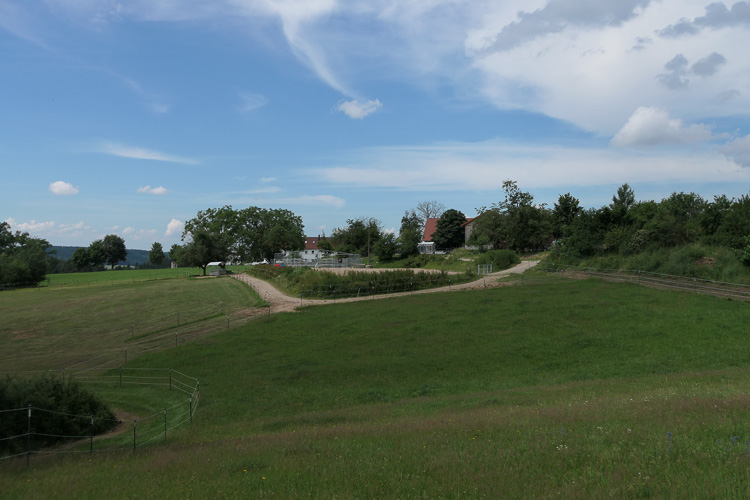 In Birkenhof leben mehr Pferde als Menschen.