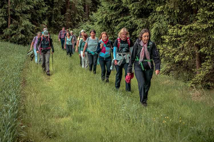Wandern auf der Überholspur!
