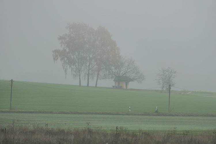 Heute ist wirklich nur Nebel angesagt.