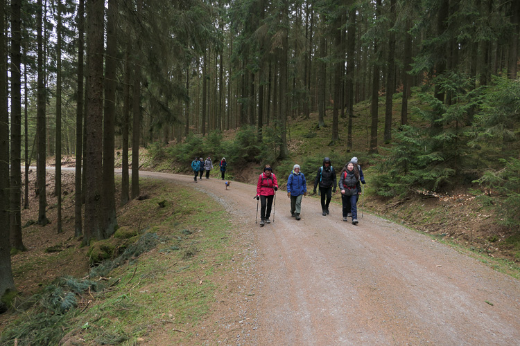 Etwas gemütlicher geht es auf der Forststraße dahin.