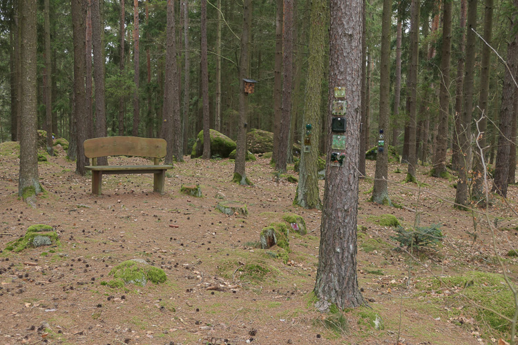 So machen wir auch auf dem Waldfriedhof keine Rast.